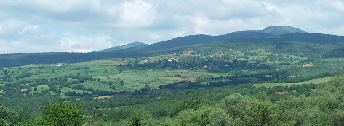 Tatlıca Köyü